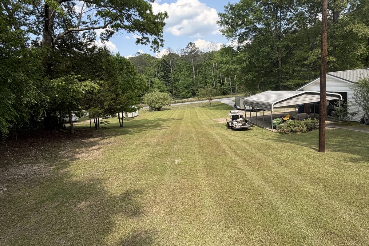 A long, cleared and freshly cut lot under mature hardwoods